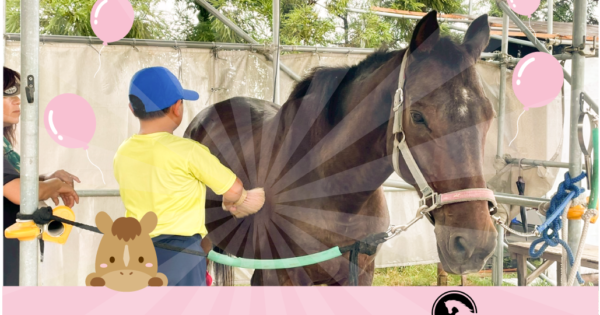 障がいを持った子どもたちが馬とのふれあい体験で成長を目指す
