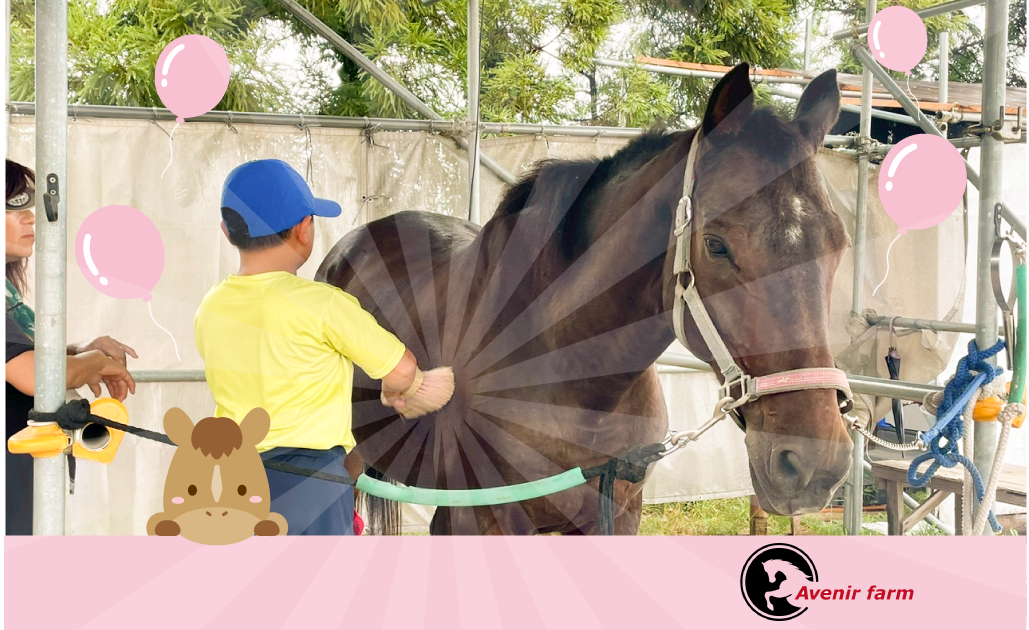 障がいを持った子どもたちが馬とのふれあい体験で成長を目指す