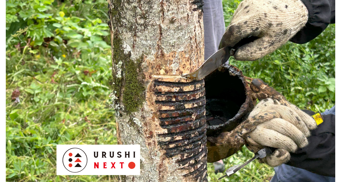 めざせ漆の里　飯舘村の未来のために！