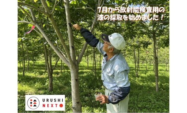 めざせ漆の里　飯舘村の未来のために！